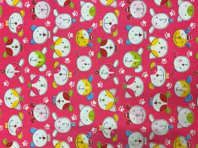 B106 Cats &amp; Dogs